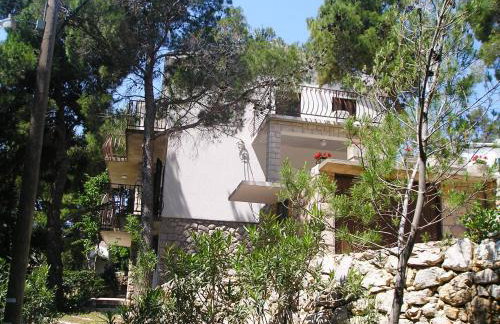 Apartmani Zaninović - Foto 17