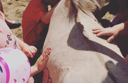 Toskania Kociewska - Photo 52