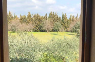 Mas des Lavandes - 3 gîtes de charme au calme avec grande piscine en Drôme-Provençale - Foto 35
