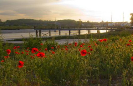 Chic Pet-Friendly Cottage, Fireplace, Wivenhoe - Foto 33