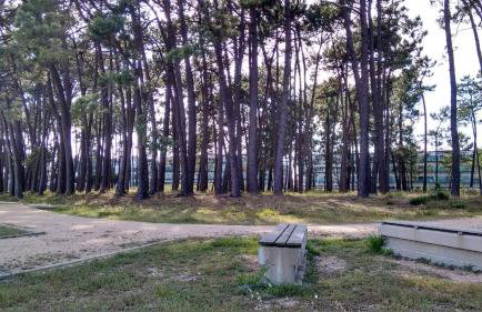 Apartamento playa Illa de Arousa - Foto 29