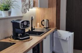 Willa Sowia nowe apartamenty z zachwycającym widokiem na góry i potok - Foto 8