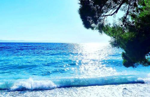 Vila Maslina Apartments mit Pool und Garten nahe am Strand - Foto 23