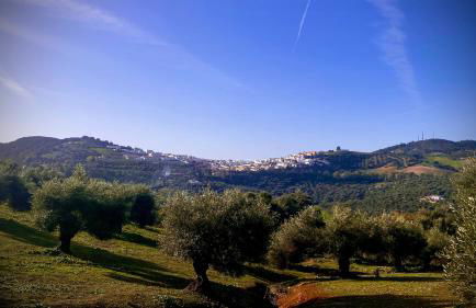 La Payana, Prado del Rey muy cerca de El Bosque - Foto 40