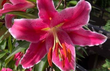 Willa w Brzozach Sznurki Spokojna 1 - Chmielno, Kaszuby, dom, jezioro - Foto 25