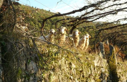 RH Casas de Campo Design - Foto 73