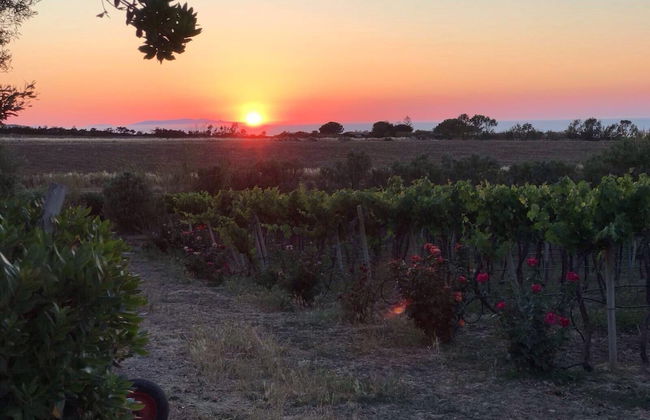 Agriturismo Monte Istulargiu - Foto 29