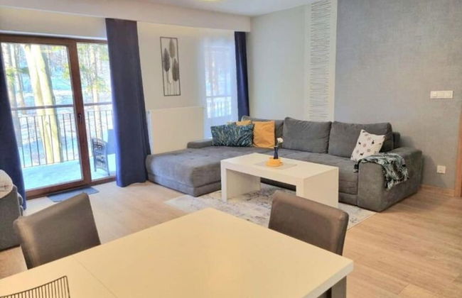 Holiday Apartment, Sauna, Pool, Szklarska Poreba - Foto 11