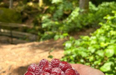 Ciao Fewo Birkenwald 你好白桦林民宿 - Foto 4