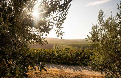 Casa Elisabetha - Foto 28