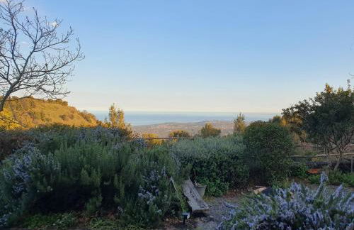 Casa Etnea - Foto 39