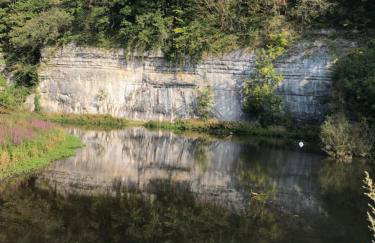 River View - Photo 29