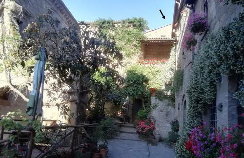 Gerani Rossi - Foto 34