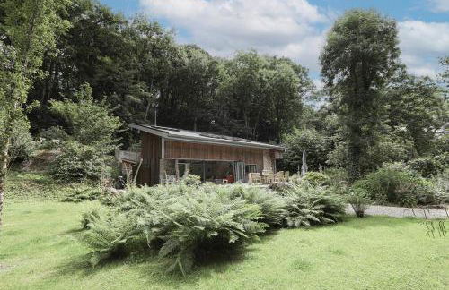 Dippers woodland setting at the Luxulyan Valley - Foto 2