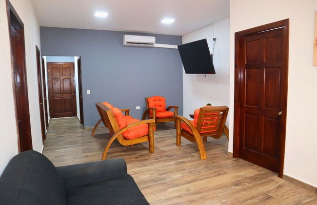 Sofy House - Foto 15