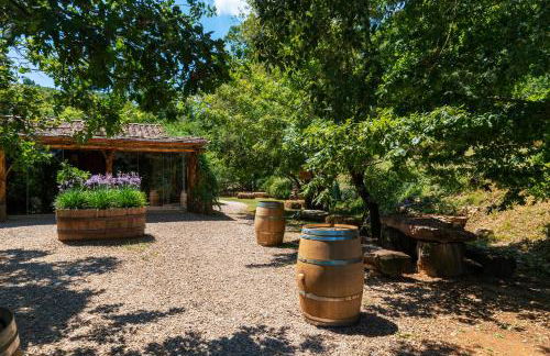 La Cerreta - Terme di Sassetta - Foto 49