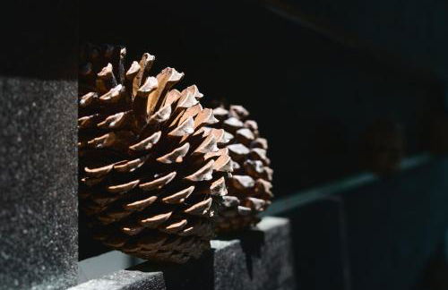 La Cachette du Lac Séjour nature et confort pour des souvenirs inoubliables - Foto 10