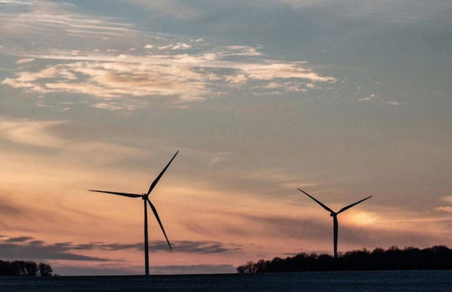 Peaceful Garden Hideaway - Foto 31