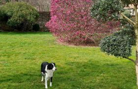 Gîte 1 "Mimosa" aux Magnolias - Foto 21