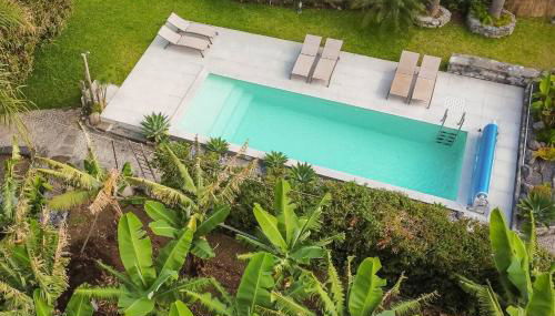 Casa Velha da Lagoa - Pássaro - by Mth - Photo 3