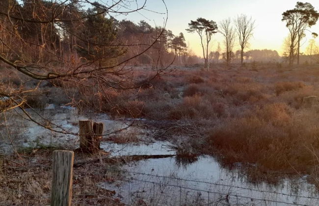 Oud-turnhout Nature Chalet - Foto 43