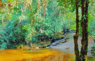 Chacara Bertioga - Foto 10