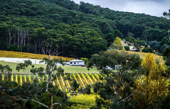 Esto House - Photo 22