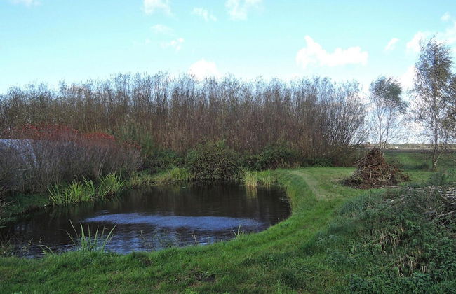 Agriculture - Studios, Borzyslawiec by Lubczyna, Close to the Harbour - Photo 18