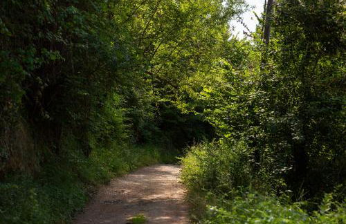 Casa Polito - Foto 43