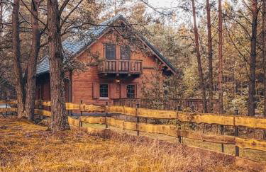 DOM w BORACH - Foto 1