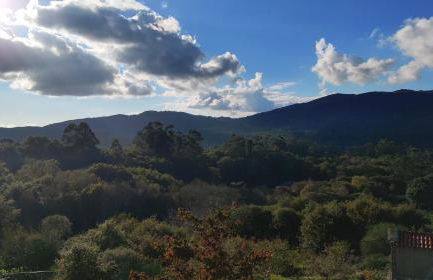 Casa da Labaceira - Foto 3