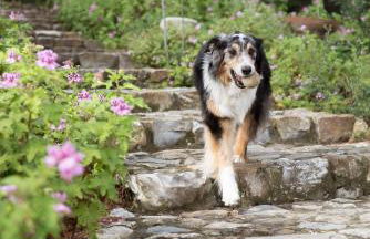 Boutique Hotel Poggio ai Santi - Adults Only - Foto 47