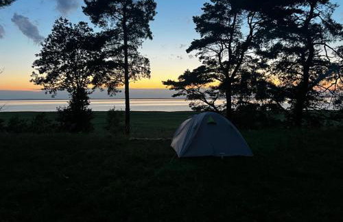 Domki na Skarpie - Wypoczynek z widokiem na Zalew - Frombork - Foto 35