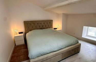 la Résidence Jacquinot - Foto 19