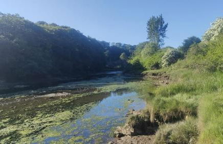 Converted Stables at Peaceful Family Farm Stay - Photo 28