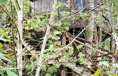 Tree Top Cabin in Crumpler, North Carolina - Foto 4