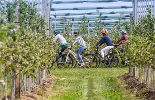 FERIENHOF KATZENMAIER, Bauernhof- und Familienurlaub am BODENSEE, großzügig wohnen, MESSENAH und teils BARRIEREFREI, Spielangebot für drinnen und draußen, Parkplatz am Haus, gute ÖPNV-Anbindung - Foto 40