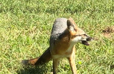 Fishers Of Men Ranch Home - Photo 76