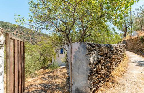 Andros Traditional House - Foto 28