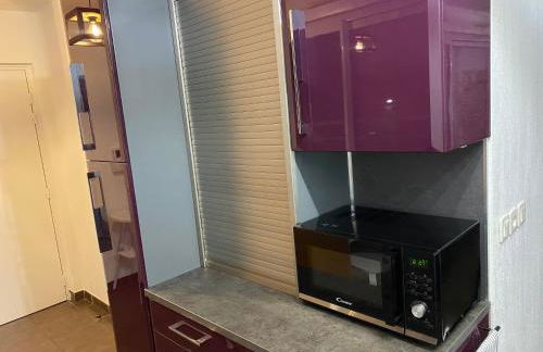 T2 Little Bohême proche hôpitaux terrasse plein ciel - Foto 14