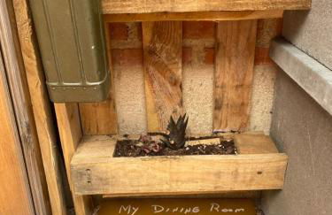 Casa Rural Alfoz, -Tiny house- con patio privado y barbacoa - Foto 36