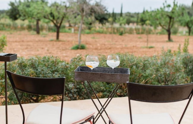 Finca Es Cabas - Photo 31