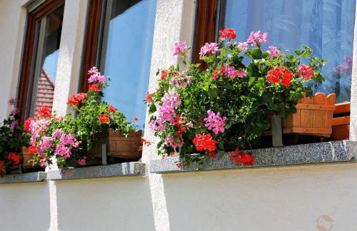 Haus Ingrid - Foto 9