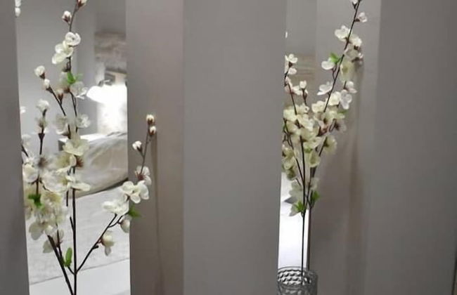 Apartments Zrenjanin - Photo 62