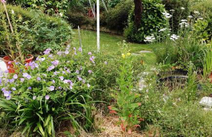 Hillside View - Foto 19