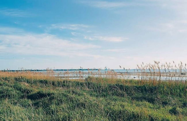 4 Person Holiday Home in Jaegerspris - Foto 10