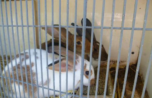 Les Cabanes de Warincthun - Foto 16