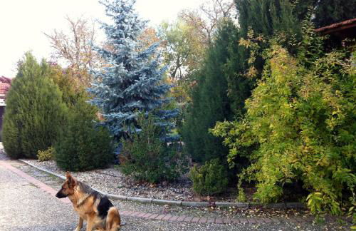 La Alberca - Foto 17