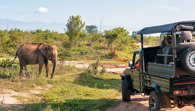 Safari privé dans le Parc National d'Udawalawe