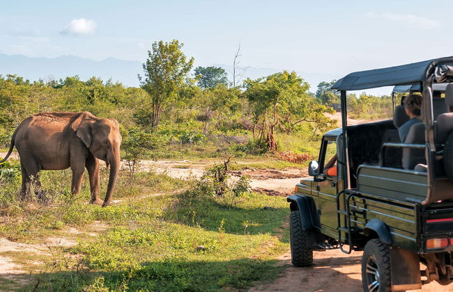 Safari privado por el Parque Nacional de Udawalawe - Foto 4